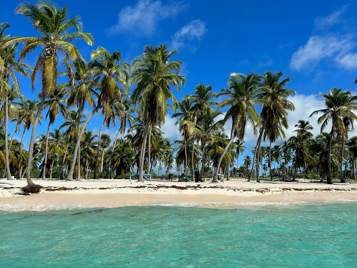 Cayo con palmeras y agua turquesa