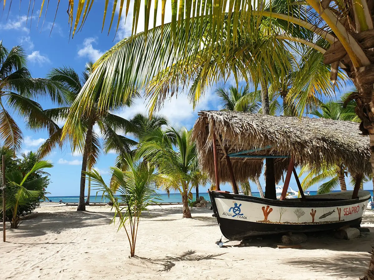 Bote en una playa con palmeras en una excursión